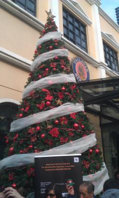 Christbaum Paulaner